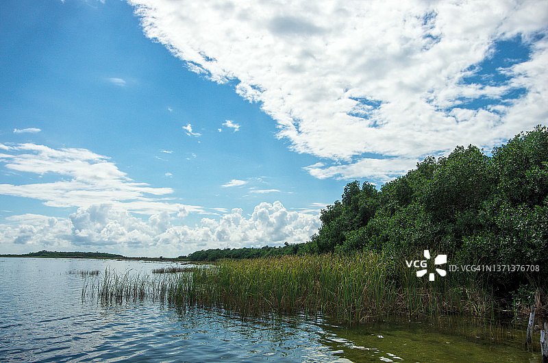 穆伊尔泻湖，位于墨西哥金塔纳罗奥州图片素材