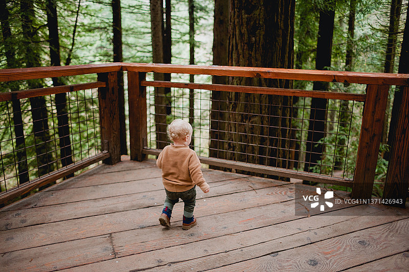 一家人探索自然公园图片素材