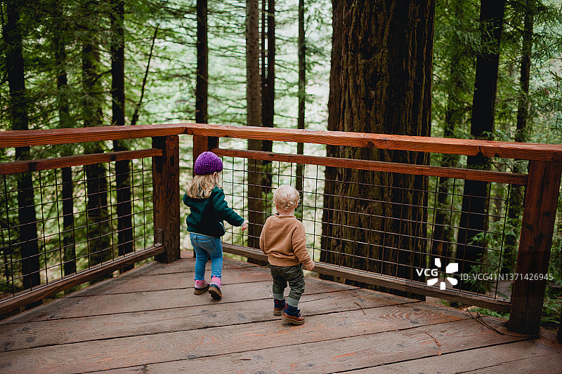 一家人探索自然公园图片素材