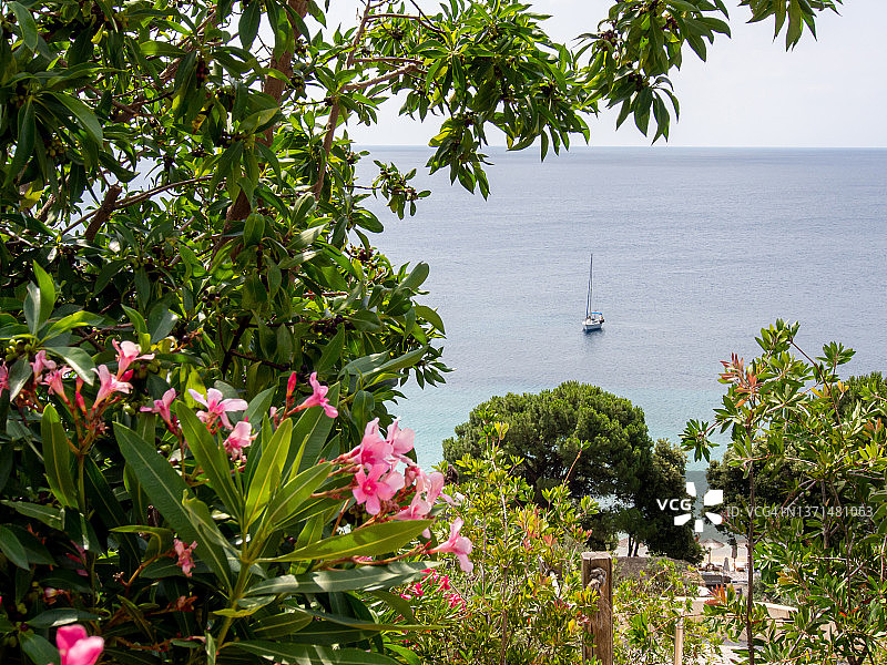 爱琴海上的游艇，鲜花为框图片素材