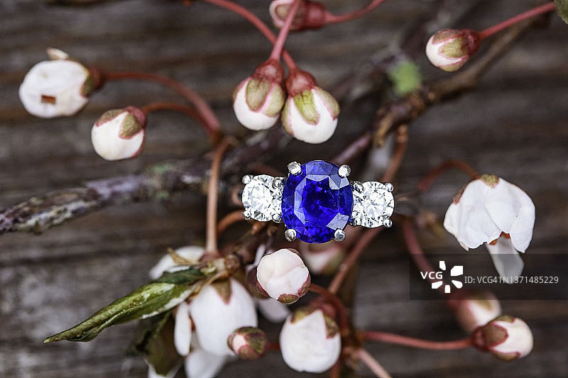 蓝宝石和钻石戒指正面图图片素材
