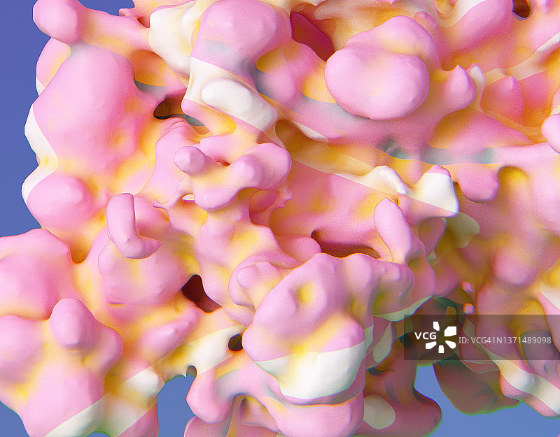 珊瑚形态图片素材