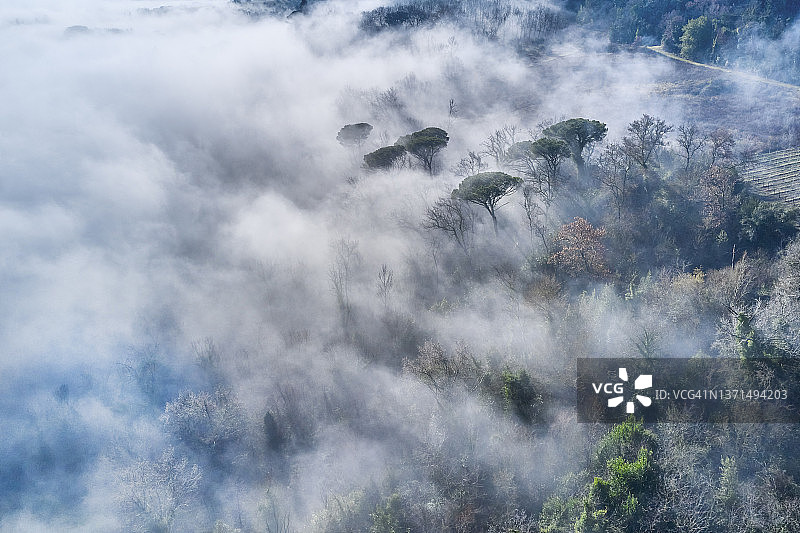 意大利托斯卡纳乡村的晨雾图片素材