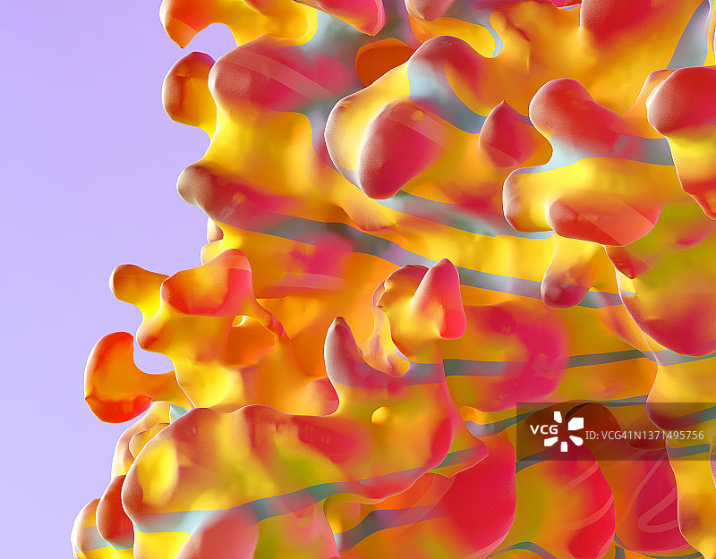 珊瑚形态图片素材