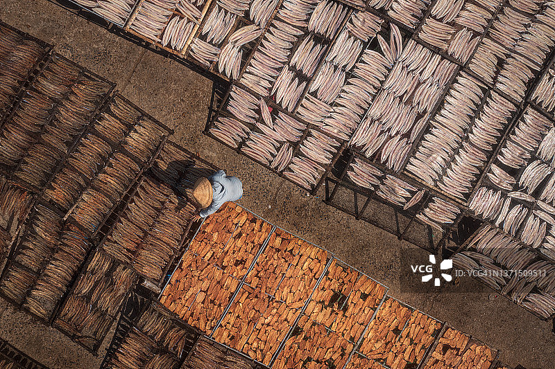 晾晒鱼干和鱿鱼图片素材