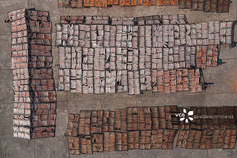 晾晒鱼干和鱿鱼图片素材