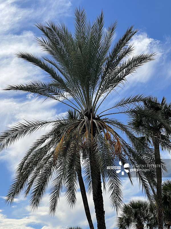 杰克逊维尔市中心阳光明媚的一天图片素材