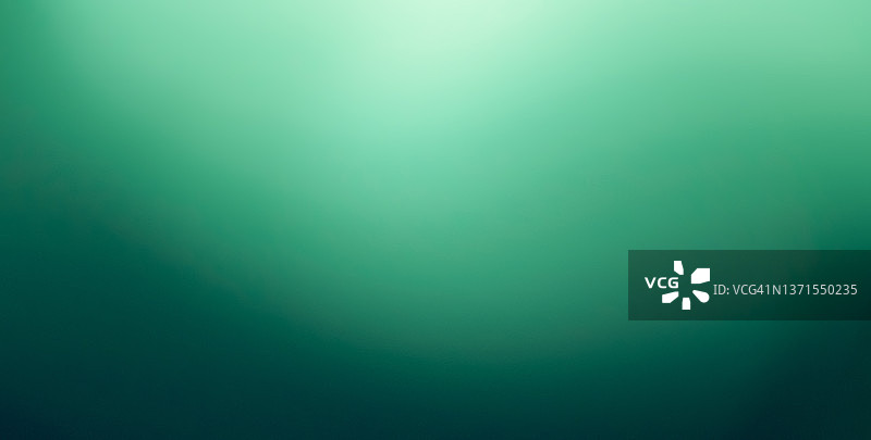 渐变优雅绿色背景图片素材