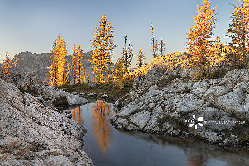 北喀斯喀山脉的亚高山落叶松图片素材