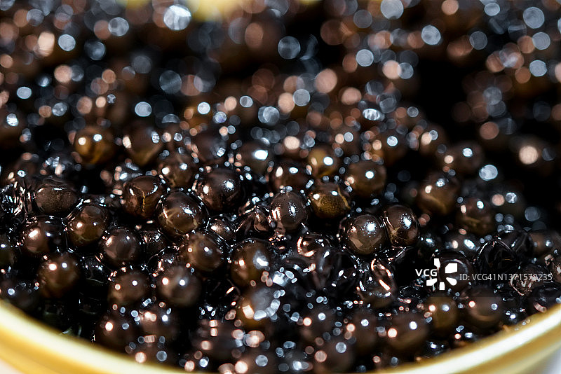 黄金盒装鱼子酱特写图片素材