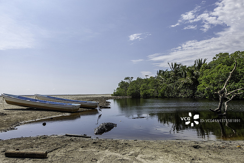 在墨西哥迷人海滩边休息的鳄鱼图片素材
