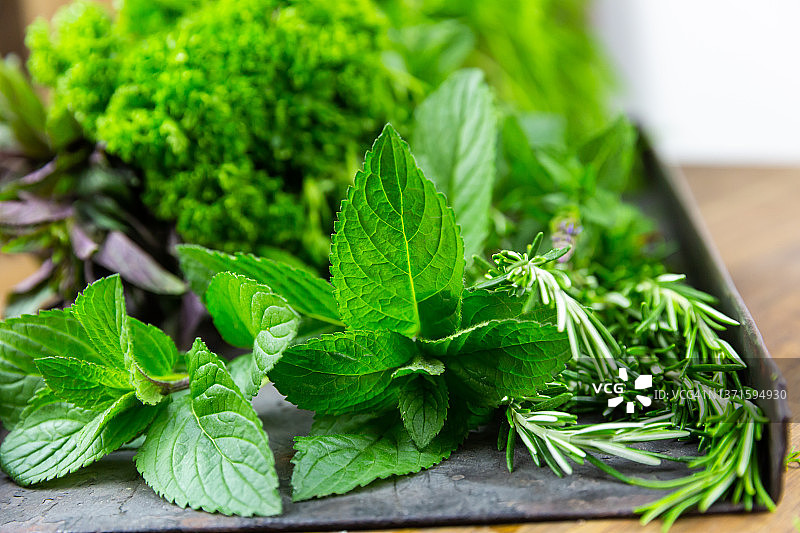 托盘上摆放的什锦新鲜绿色香草图片素材