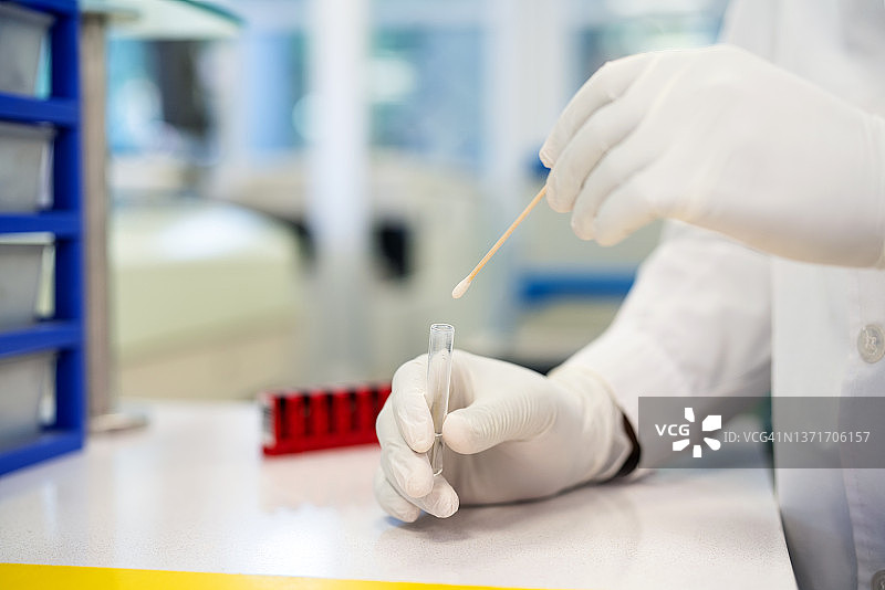 颅骨脊柱正中前后切面图片素材