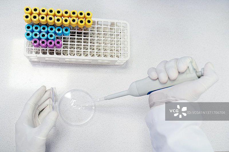 科学家在实验室用移液管向培养皿中添加溶液的视角图片素材