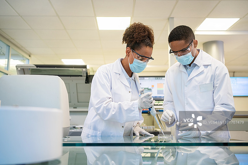 两位科学家在实验室进行实验图片素材
