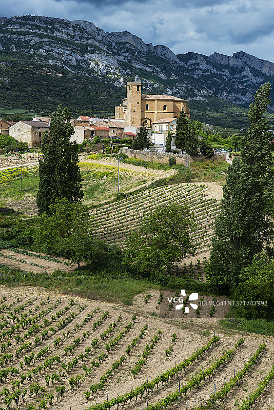 葡萄酒产区拉里奥哈，阿巴洛斯村，西班牙图片素材