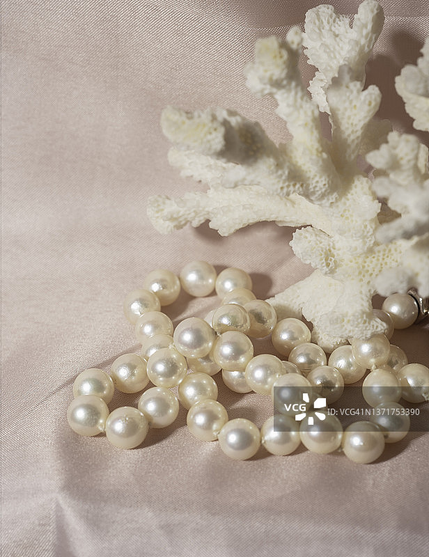 带珊瑚的珍珠项链图片素材