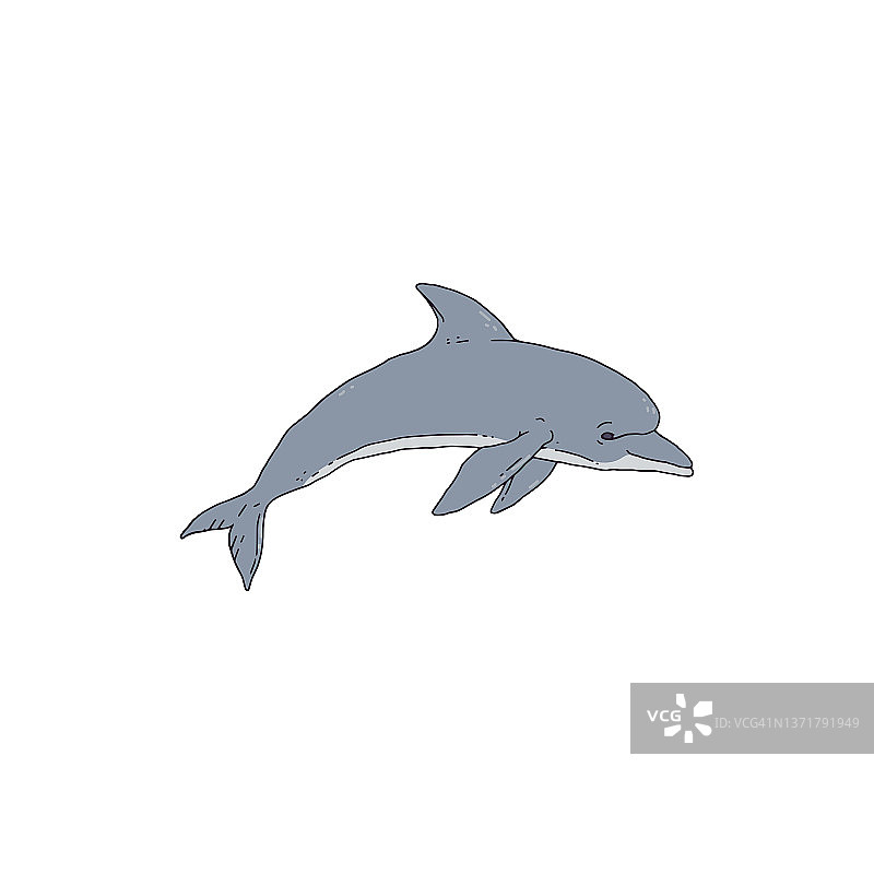 海豚轮廓涂鸦矢量插画图片素材