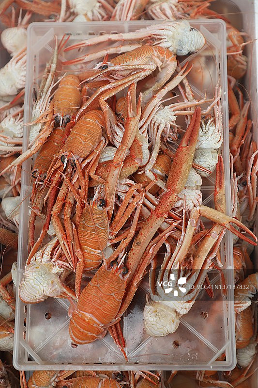 市场上的稀有海鲜：王子瓷蟹图片素材