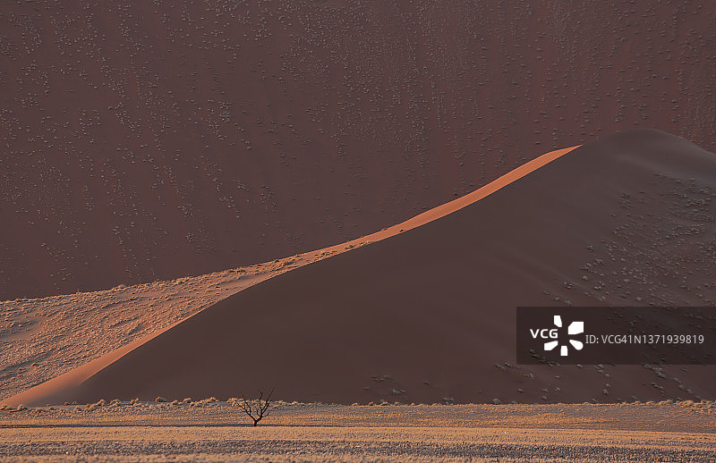 纳米布沙漠中的巨大沙丘图片素材