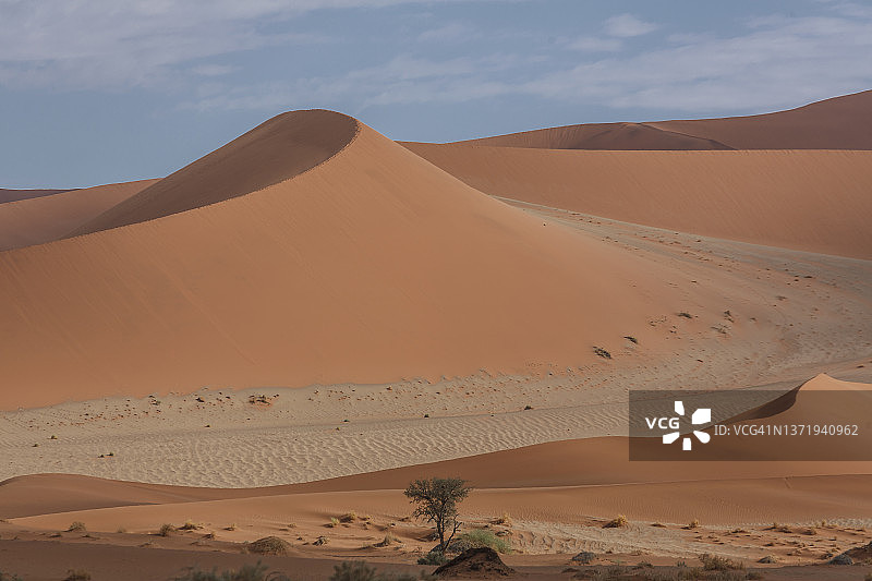 纳米布沙漠中的巨大沙丘图片素材