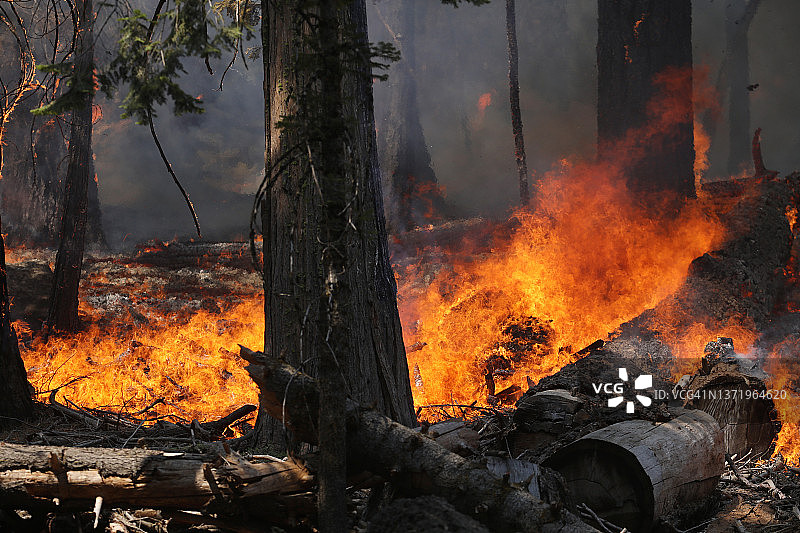 加州野火图片素材
