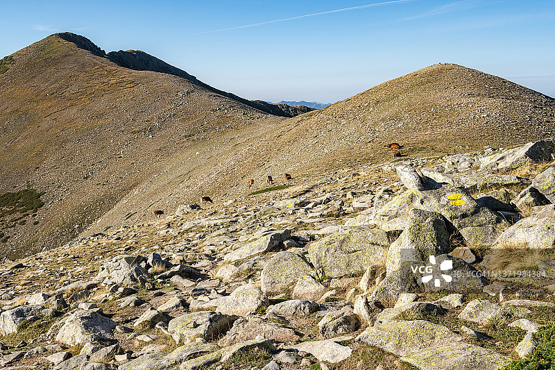 法国科西嘉岛GR20徒步路线的岩脊图片素材