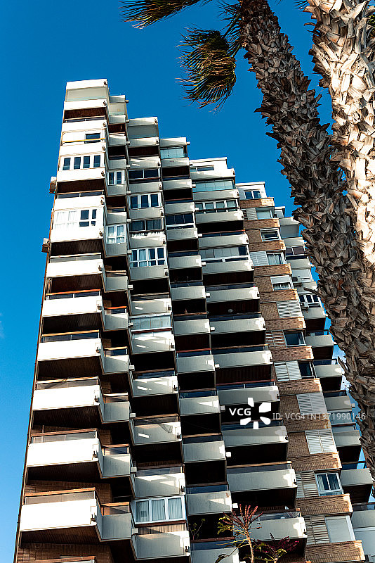 住宅楼与棕榈树：蓝天下的城市街景图片素材
