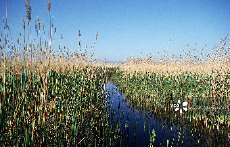 安纳托利亚中部的沼泽地图片素材