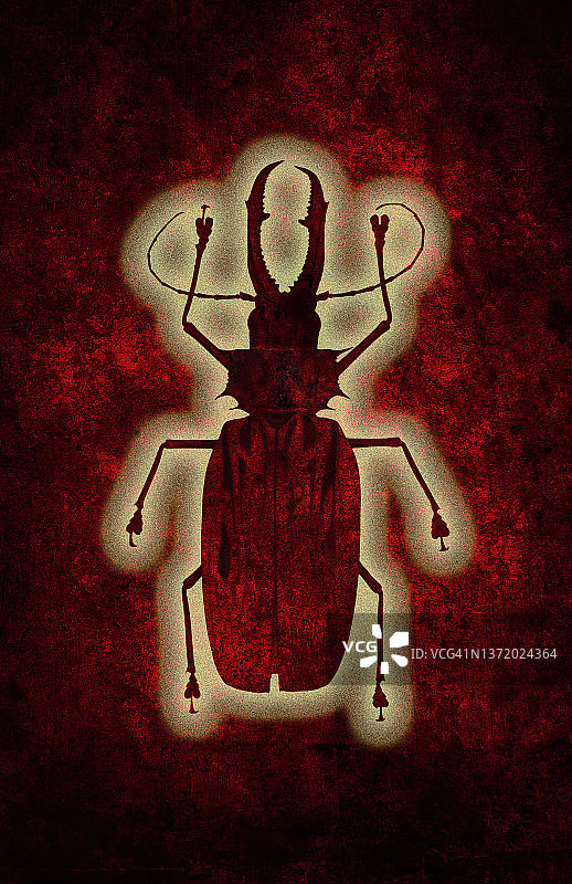 深红色背景上的昆虫轮廓图片素材