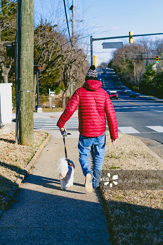 男子在繁忙街道的人行道上遛狗图片素材