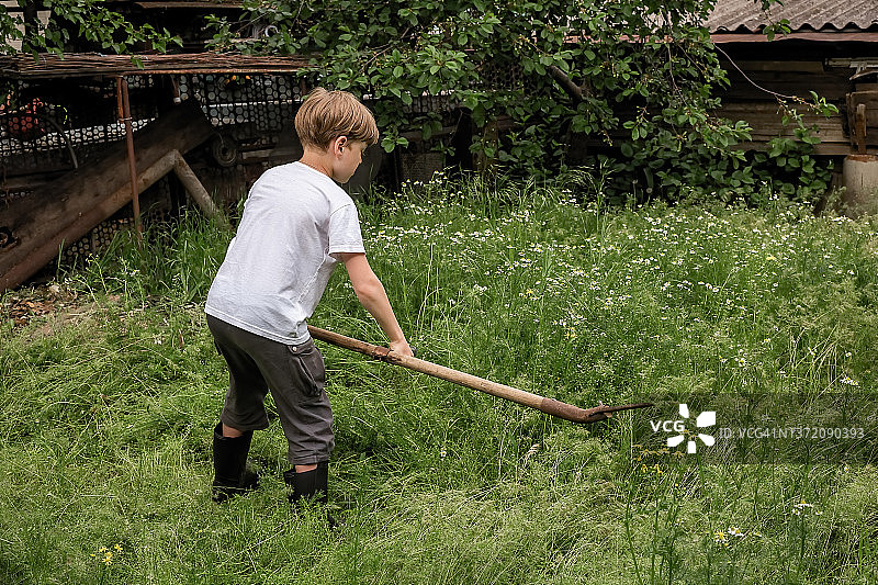 男孩用手镰刀以传统方式在村庄里割草图片素材