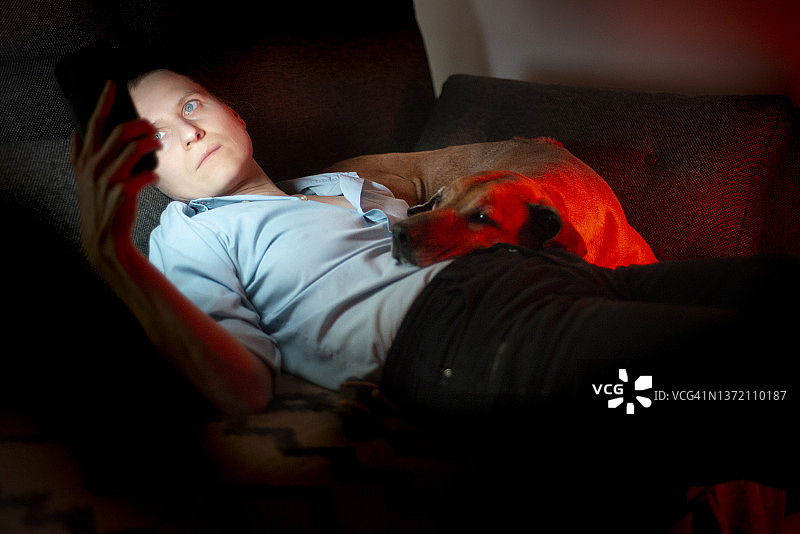 在有狗的公司里使用手机的女人图片素材