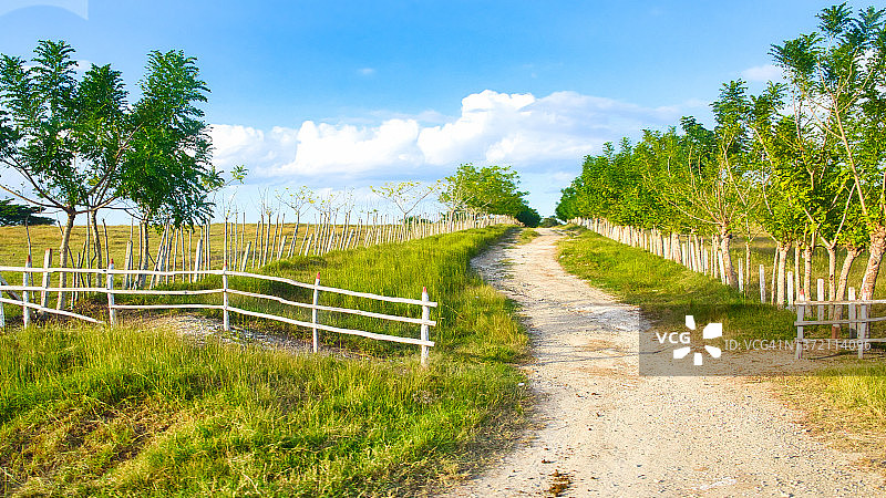通往农场的泥路图片素材