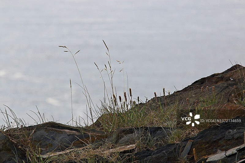 加冰块图片素材