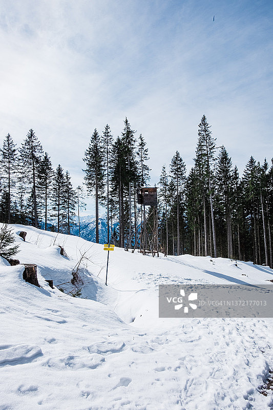 雪景与森林和猎人站立图片素材