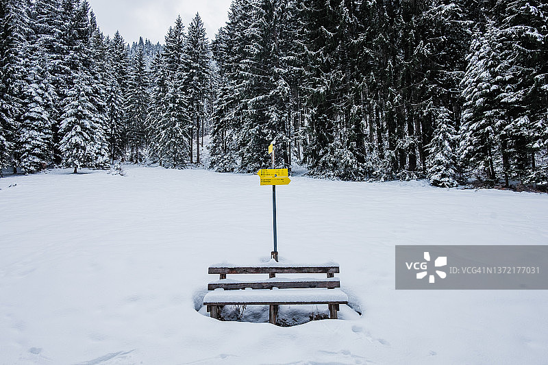 森林中带有指示牌的雪covered长椅图片素材