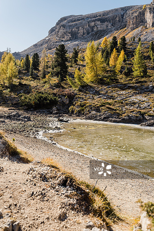 利米德斯湖的山脉和树木图片素材