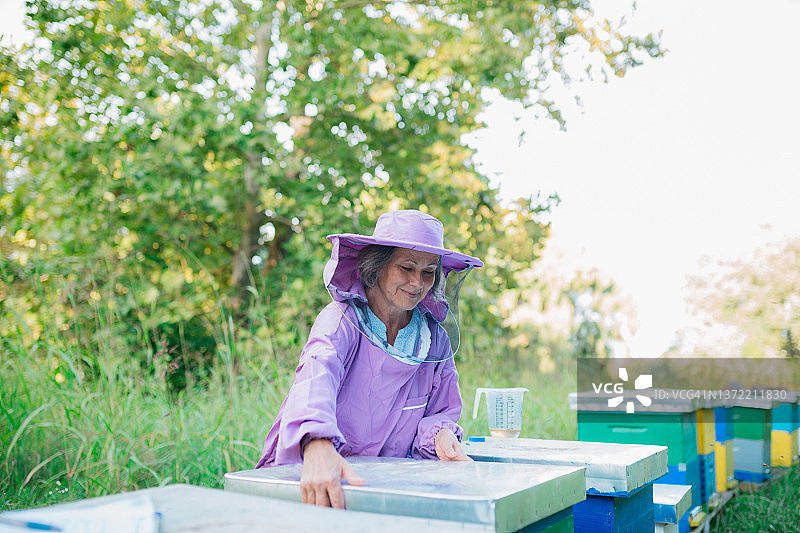 白人女性养蜂人检查蜂窝在自然图片素材