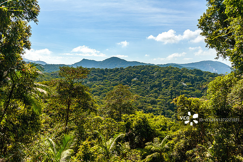 蒂如卡国家公园的森林和山景图片素材