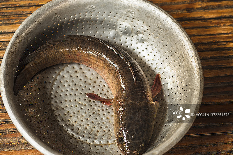 桌上容器中黑鱼的俯视图图片素材