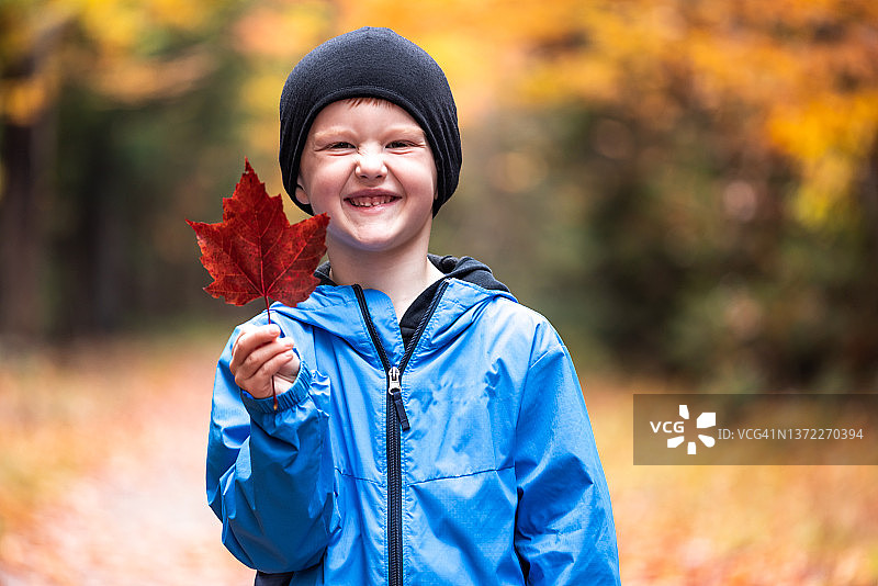 可爱的小红发男孩在翠湖山国家公园捡拾秋叶图片素材