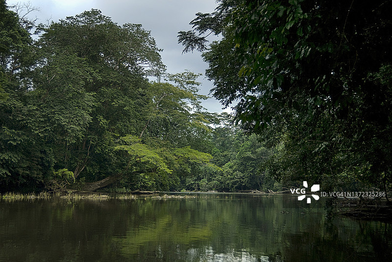 西非利比里亚的马赫河图片素材