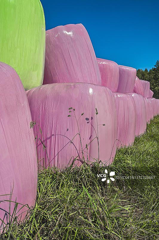 德国巴伐利亚州巴特特尔茨附近的粉色塑料箔干草捆图片素材