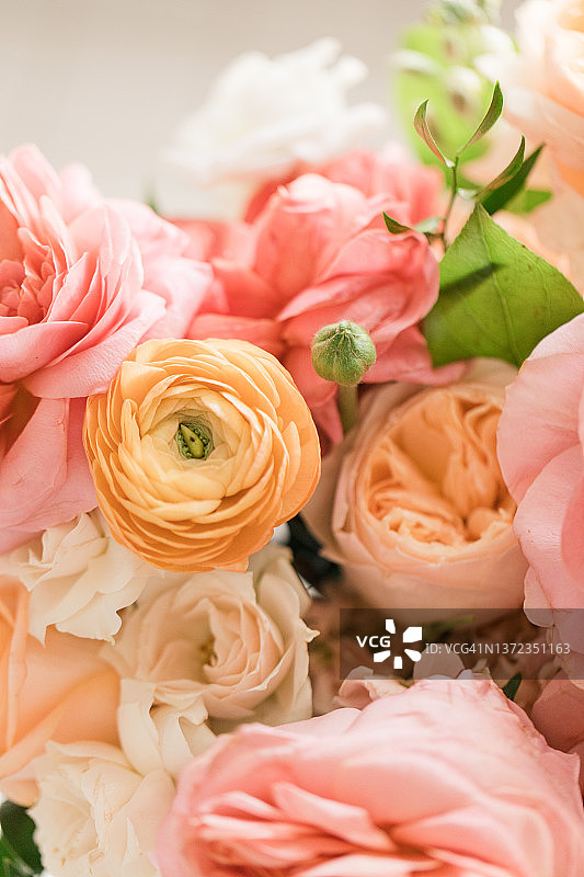 户外春季婚礼彩色春花，南佛罗里达图片素材