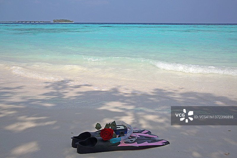 碧绿色的海洋、珊瑚沙和浮潜设备，配以红玫瑰图片素材