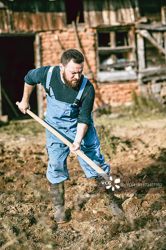 专注的男人用铲子在农场周围挖土图片素材