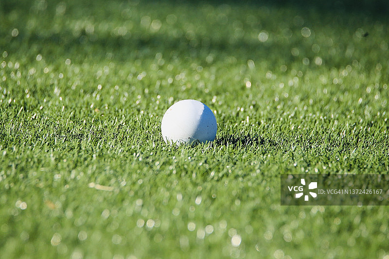 长曲棍球比赛用球图片素材