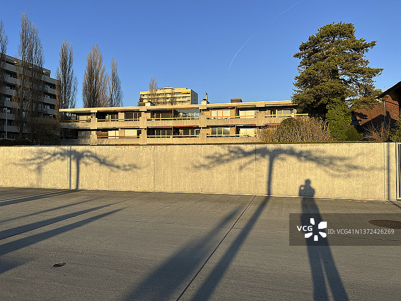 比尔的墙壁和建筑物上的树影图片素材