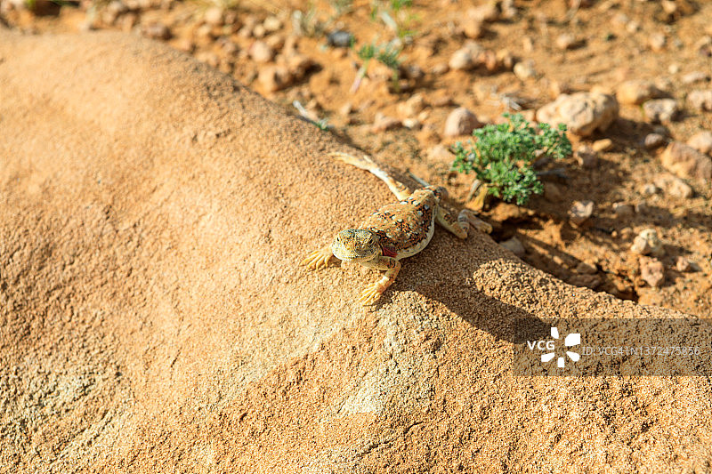 蒙古火焰崖风光图片素材
